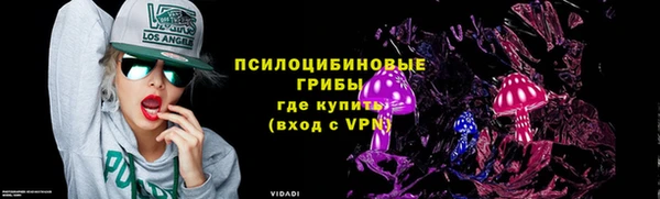 шишки Алексин