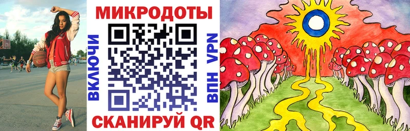 Галлюциногенные грибы Cubensis Псков
