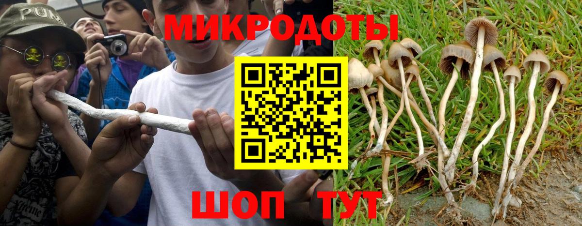 Галлюциногенные грибы Magic Shrooms  Псилоцибиновые грибы прущие грибы  Псков  Вход с VPN 