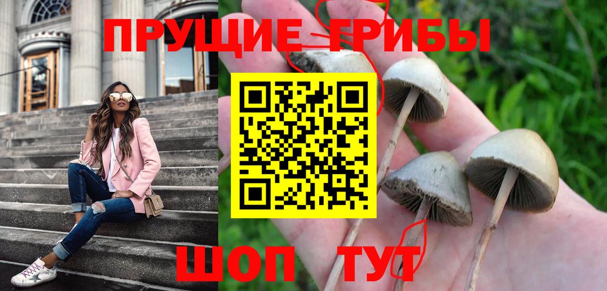 Галлюциногенные грибы мухоморы Псков